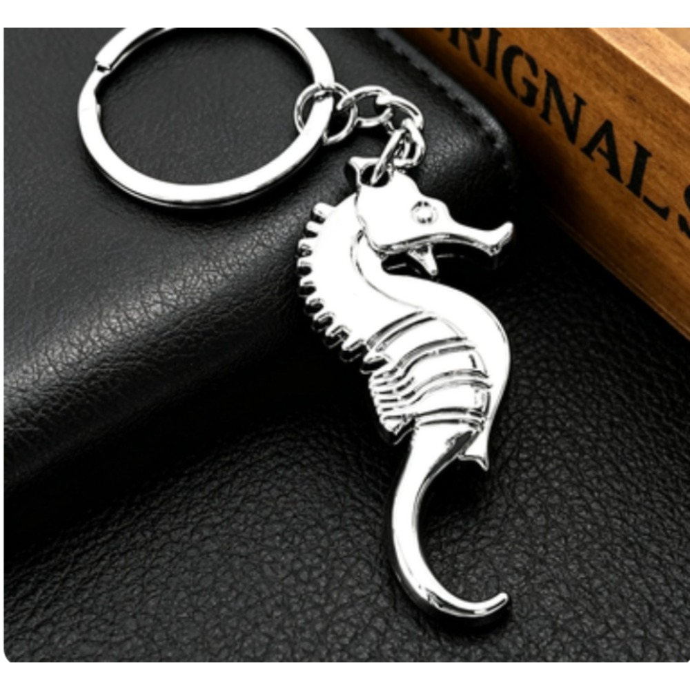 Bottle Opener Keyring - Porte-clés décapsuleur multifonction en alliage en